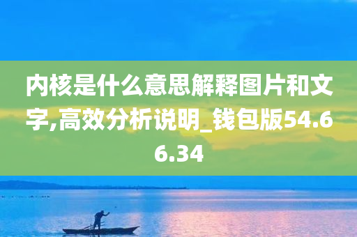 内核是什么意思解释图片和文字,高效分析说明_钱包版54.66.34