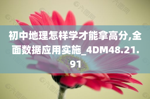 初中地理怎样学才能拿高分,全面数据应用实施_4DM48.21.91