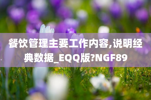 餐饮管理主要工作内容,说明经典数据_EQQ版?NGF89