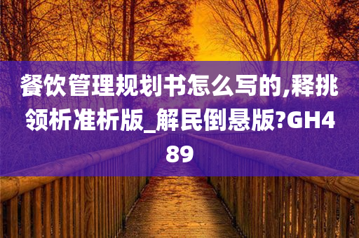 餐饮管理规划书怎么写的,释挑领析准析版_解民倒悬版?GH489