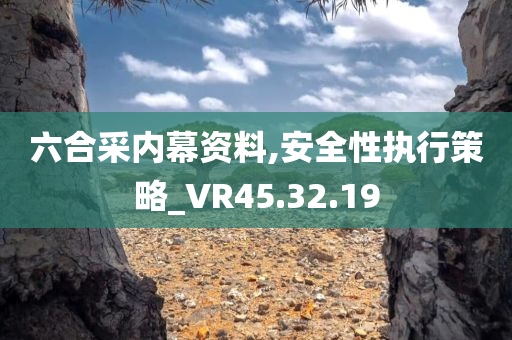 六合采内幕资料,安全性执行策略_VR45.32.19