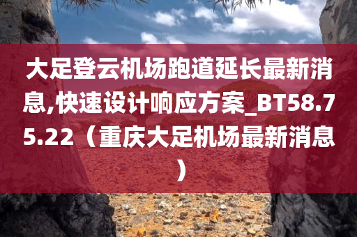 大足登云机场跑道延长最新消息,快速设计响应方案_BT58.75.22（重庆大足机场最新消息）