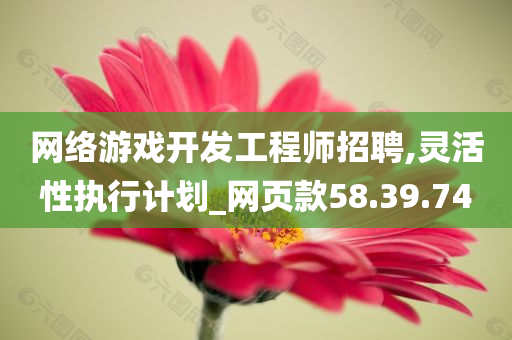 网络游戏开发工程师招聘,灵活性执行计划_网页款58.39.74