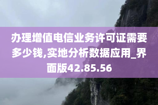 办理增值电信业务许可证需要多少钱,实地分析数据应用_界面版42.85.56