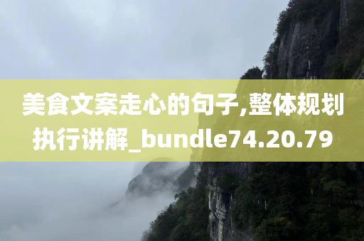 美食文案走心的句子,整体规划执行讲解_bundle74.20.79