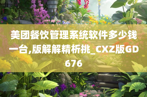 美团餐饮管理系统软件多少钱一台,版解解精析挑_CXZ版GD676