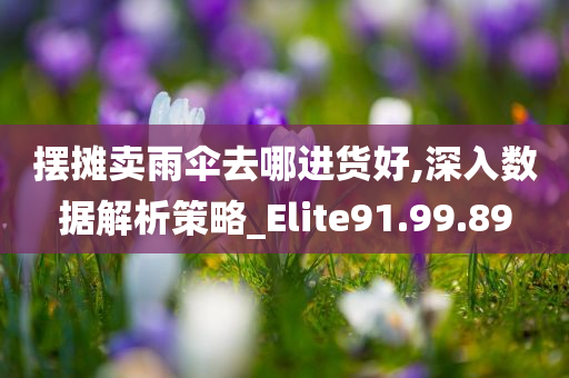 摆摊卖雨伞去哪进货好,深入数据解析策略_Elite91.99.89