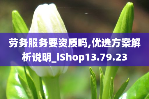 劳务服务要资质吗,优选方案解析说明_iShop13.79.23