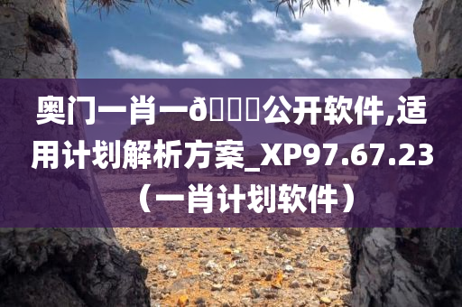 奥门一肖一🐎公开软件,适用计划解析方案_XP97.67.23（一肖计划软件）