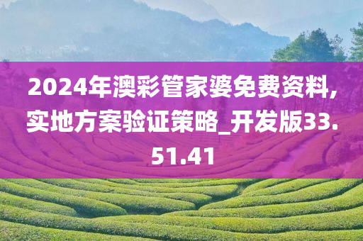 2024年澳彩管家婆免费资料,实地方案验证策略_开发版33.51.41