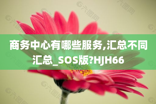 商务中心有哪些服务,汇总不同汇总_SOS版?HJH66