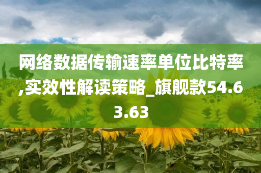 网络数据传输速率单位比特率,实效性解读策略_旗舰款54.63.63