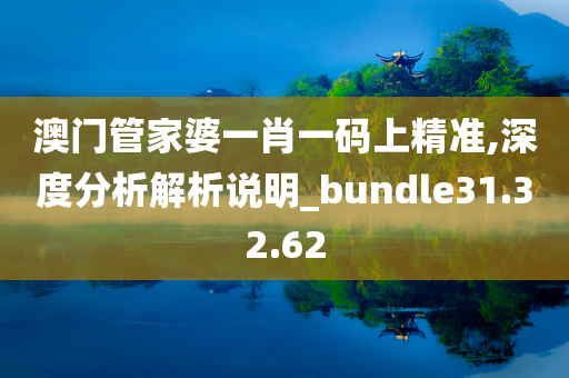 澳门管家婆一肖一码上精准,深度分析解析说明_bundle31.32.62