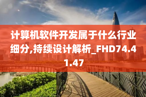 计算机软件开发属于什么行业细分,持续设计解析_FHD74.41.47