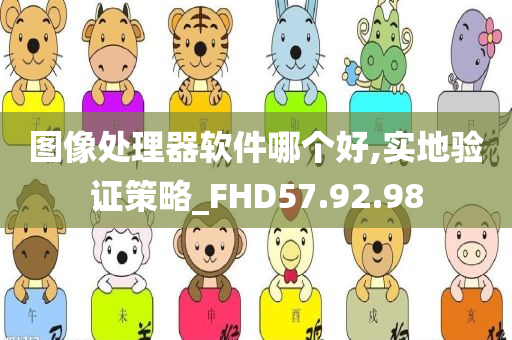 图像处理器软件哪个好,实地验证策略_FHD57.92.98