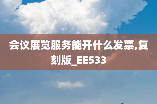 会议展览服务能开什么发票,复刻版_EE533