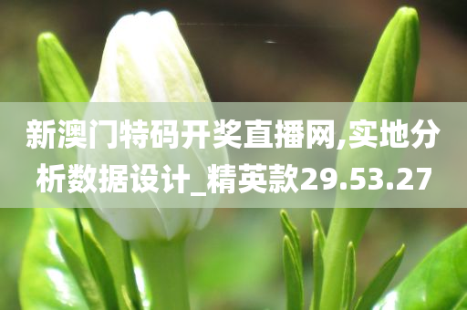 新澳门特码开奖直播网,实地分析数据设计_精英款29.53.27