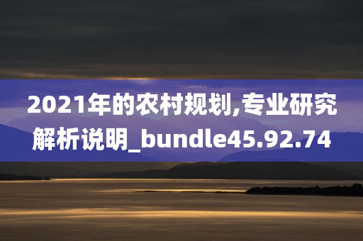 2021年的农村规划,专业研究解析说明_bundle45.92.74