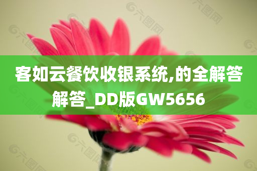 客如云餐饮收银系统,的全解答解答_DD版GW5656