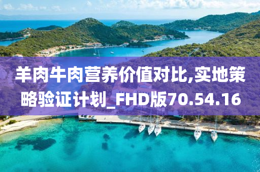 羊肉牛肉营养价值对比,实地策略验证计划_FHD版70.54.16