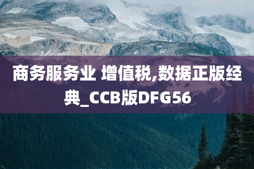 商务服务业 增值税,数据正版经典_CCB版DFG56