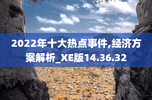 2022年十大热点事件,经济方案解析_XE版14.36.32