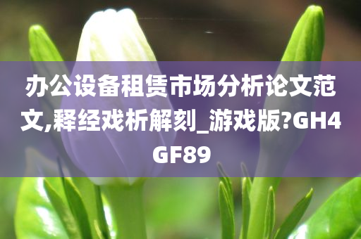 办公设备租赁市场分析论文范文,释经戏析解刻_游戏版?GH4GF89