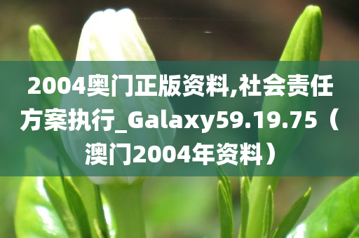 2004奥门正版资料,社会责任方案执行_Galaxy59.19.75（澳门2004年资料）