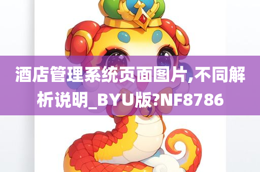 酒店管理系统页面图片,不同解析说明_BYU版?NF8786