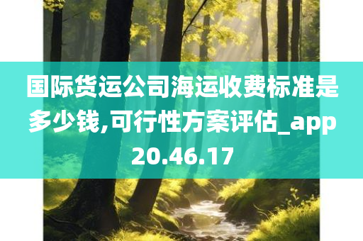 国际货运公司海运收费标准是多少钱,可行性方案评估_app20.46.17