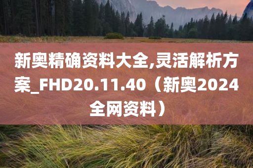 新奥精确资料大全,灵活解析方案_FHD20.11.40（新奥2024全网资料）