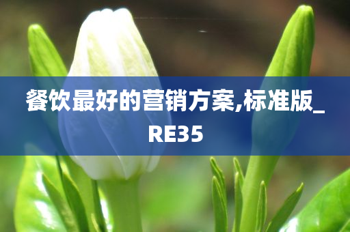 餐饮最好的营销方案,标准版_RE35