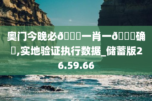 奥门今晚必🀄一肖一🐎确硧,实地验证执行数据_储蓄版26.59.66