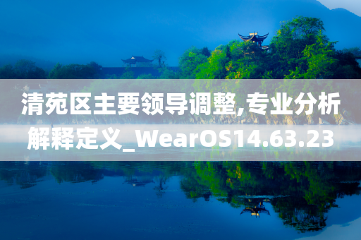 清苑区主要领导调整,专业分析解释定义_WearOS14.63.23