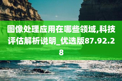 图像处理应用在哪些领域,科技评估解析说明_优选版87.92.28