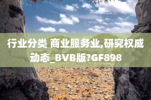 行业分类 商业服务业,研究权威动态_BVB版?GF898