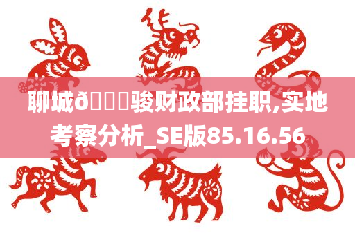 聊城🐎骏财政部挂职,实地考察分析_SE版85.16.56