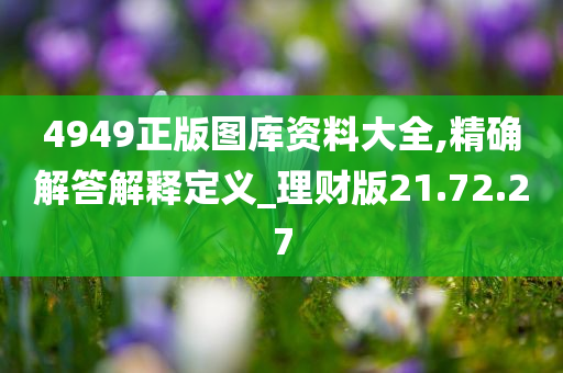 4949正版图库资料大全,精确解答解释定义_理财版21.72.27