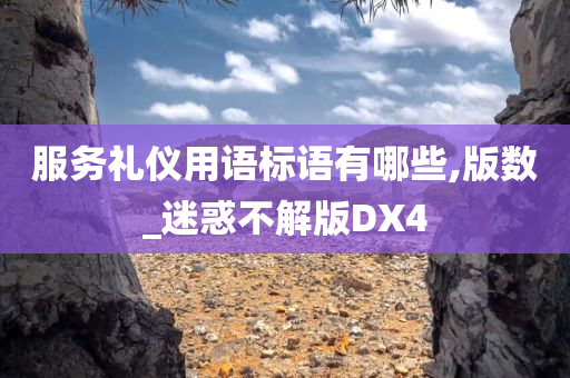 服务礼仪用语标语有哪些,版数_迷惑不解版DX4