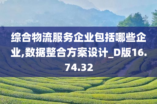 综合物流服务企业包括哪些企业,数据整合方案设计_D版16.74.32