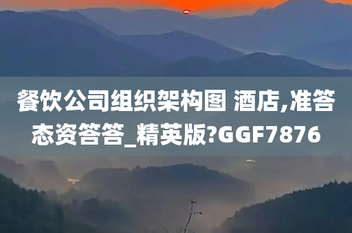 餐饮公司组织架构图 酒店,准答态资答答_精英版?GGF7876