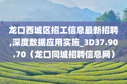 龙口西城区招工信息最新招聘,深度数据应用实施_3D37.90.70（龙口同城招聘信息网）