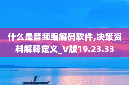 什么是音频编解码软件,决策资料解释定义_V版19.23.33