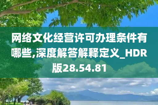 网络文化经营许可办理条件有哪些,深度解答解释定义_HDR版28.54.81