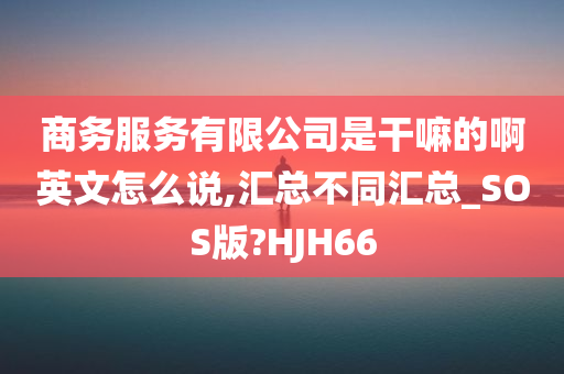 商务服务有限公司是干嘛的啊英文怎么说,汇总不同汇总_SOS版?HJH66