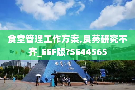 食堂管理工作方案,良莠研究不齐_EEF版?SE44565