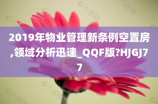 2019年物业管理新条例空置房,领域分析迅速_QQF版?HJGJ77