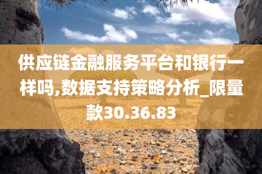 供应链金融服务平台和银行一样吗,数据支持策略分析_限量款30.36.83