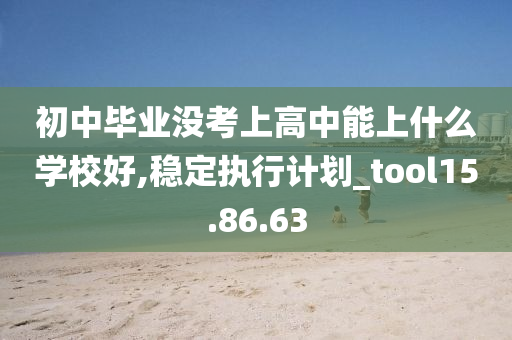 初中毕业没考上高中能上什么学校好,稳定执行计划_tool15.86.63