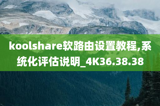 koolshare软路由设置教程,系统化评估说明_4K36.38.38